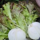 어울림펜션 캠핑장 이미지