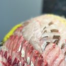 이마트24플렉스 이미지