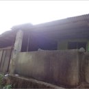 안성리-2 이미지