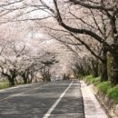 별의궁전 이미지