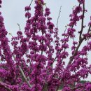 신발마트 이미지