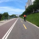 푸른솔농장4 Daum카페