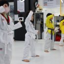 품태권도 이미지