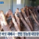 큰별태양광발전소 이미지