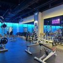 바디엔지니어스짐 이미지