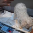 간식파는남자 이미지