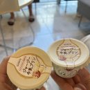 세븐일레븐제주탑동광장점 이미지