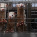 기권농장 이미지