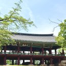 죽서루 화장실 | 삼척 여행 관동팔경 죽서루 아이랑 가볼만한 곳 시티투어의 시작