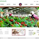 농협홍삼개성 이미지