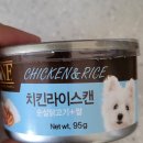 채플린동물병원