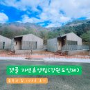 숲속의하얀집 | 갯골 자연휴양림 (강원도 인제 신축 휴양림) - 숲속의 집 103호 후기