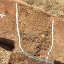 부안고려청자(서울) 이미지