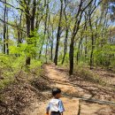 반석산에코스쿨 | 동탄 아기랑 가기 좋은 무료 실내놀이터 반석산 에코스쿨 기후놀이터 후기