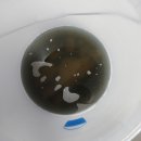 블루클린 이미지