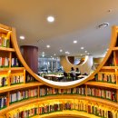 지혜의숲 이미지