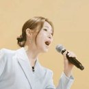 이소나 카카오 검색결과