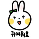 코지드림