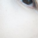 블랙바닐라 이미지