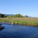 요천다슬기마을 이미지