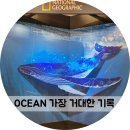 충무아트센터갤러리 내셔널지오그래픽 특별기획 OCEAN 가장 거대한 기록