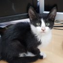 강릉원주대학교소비자생활협동조합 이미지