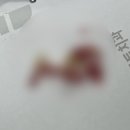 프렌치쪽갈비 영도점 | 네 곁에서 항상 맴돌아 볼게
