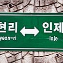 서화농장 이미지