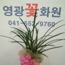 상명종합장식 이미지