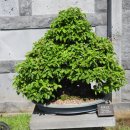 제주아트랜드 이미지