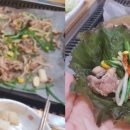 오리마시떼 이미지