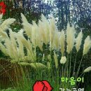마음따라