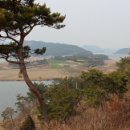 월송정月松亭 이미지