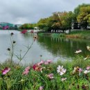 서태후중화요리전문점 이미지