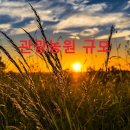 세종행정사 이미지