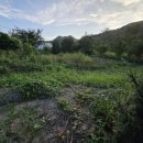 비엔비공인중개사사무소 이미지