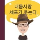 청솔정 티스토리