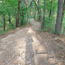 숲속공기 이미지