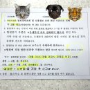 창원지방법원 | 장유 율하 개명신청 방법 / 창원지방법원 직접 다녀온 후기 (헛걸음 주의)