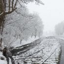 대왕농장 이미지