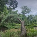 【라이딩공지】마지막 단풍라이딩~ 서울대학교 안양수목원~ go 이미지