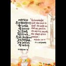 사암목장 이미지