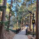 수정산가족체육공원입구 | 구봉산, 중앙공원(부산)서의 새해 첫 산행은 가볍게 하고, 수정전통시장 주변서의 식사는 풍성하게 즐김...