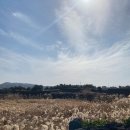 제주도민이 직접 추천해준 애월근처 카페&amp;맛집식당 리스트 공유!