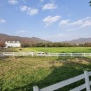 용인목장 이미지