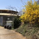 청개구리펜션민박 이미지