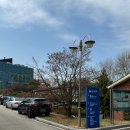 삼육메디칼 | [Working Holiday] 3. 캐나다 워홀 신체검사 재검후기_삼육서울병원 주말 예약방법/준비물/비용(2024...