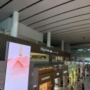 만원의행복 - 서구 금호동 | 아기랑 오키나와 여행 | 인천공항 마티나 골드 라운지 뷔페·만원의 행복 후기