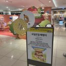 깨댕이 | 더현대 대구 오밀조밀 깨댕이 팝업스토어 다녀온 후기