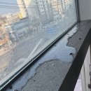 부평마이빌점 | 부평 20평 오피스텔 이사청소, 창틀 벌레 해충방역까지 진행